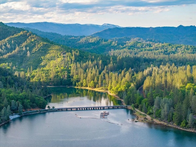19817 Oak Knoll Dr, Lakehead, CA 96051 - bird's eye view with a water and mountain view and a view of trees