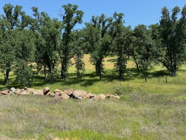 24294 Dersch Rd, Anderson, CA 96007 - view of local wilderness