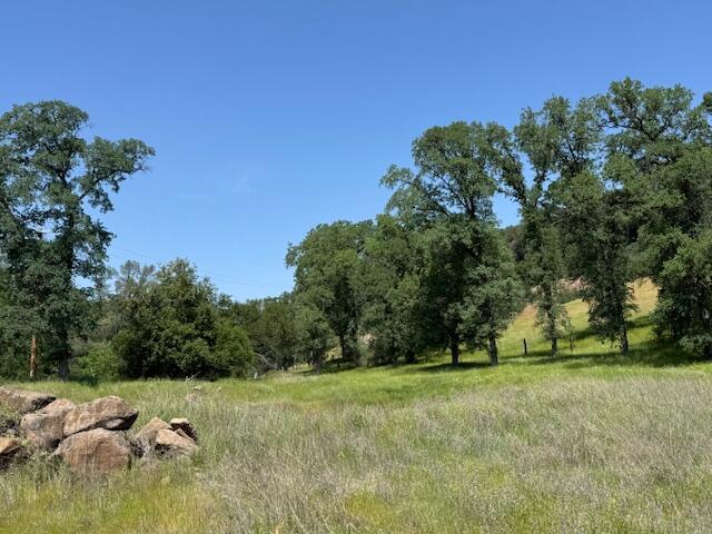 24294 Dersch Rd, Anderson, CA 96007 - view of tree filled area