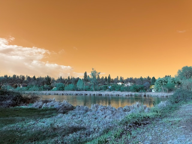 nature at dusk featuring a water view