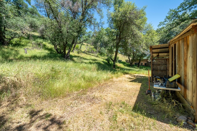 1390 Branstetter Ln, Redding, CA 96001 - view of yard