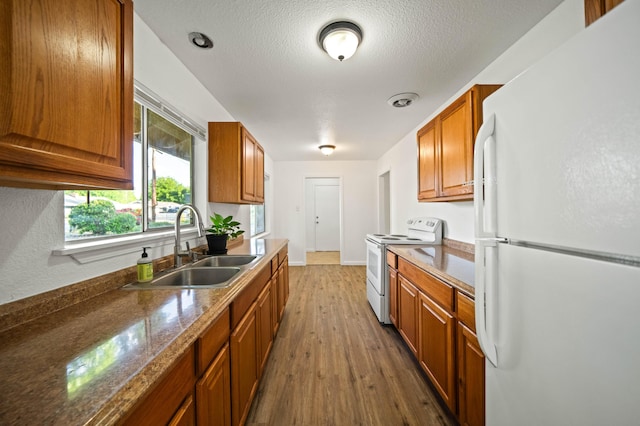 kitchen with brown cabinetry, baseboards, white appliances, a sink, and wood finished floors