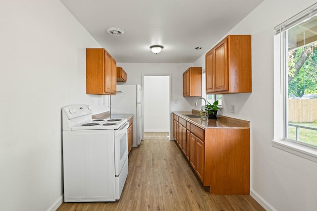 kitchen with light wood-style floors, a sink, and white appliances