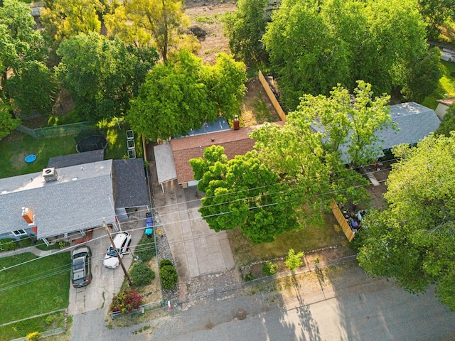 bird's eye view