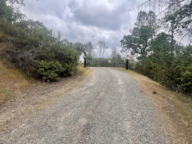 view of street with a gate, driveway, and a gated entry