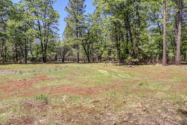 view of yard with a forest view
