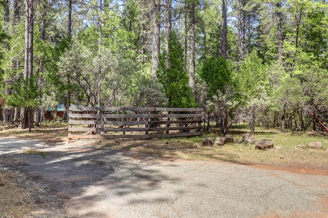 view of asphalt driveway with a forest view