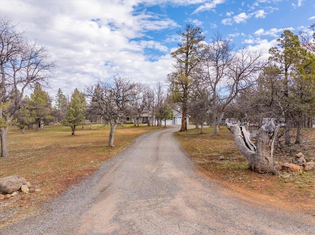 view of street featuring driveway