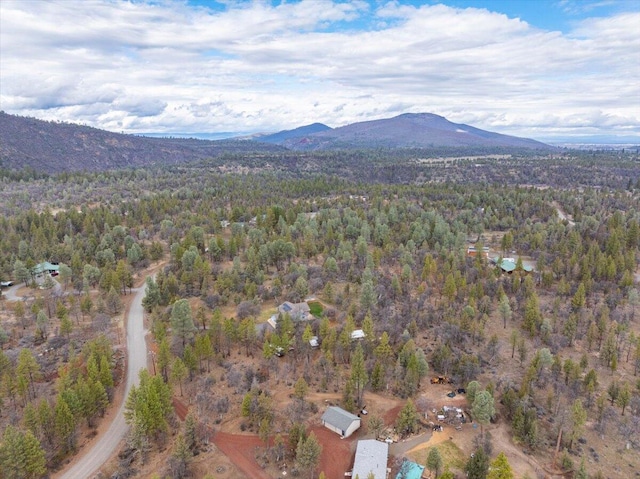 bird's eye view featuring a mountain view and a view of trees