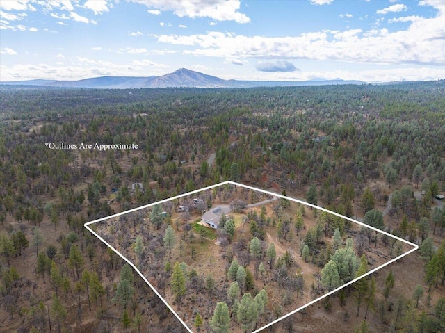 drone / aerial view with a mountain view and a wooded view