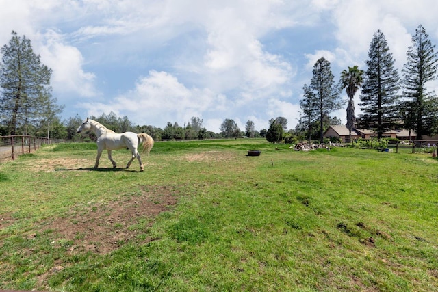 view of yard with fence and a rural view