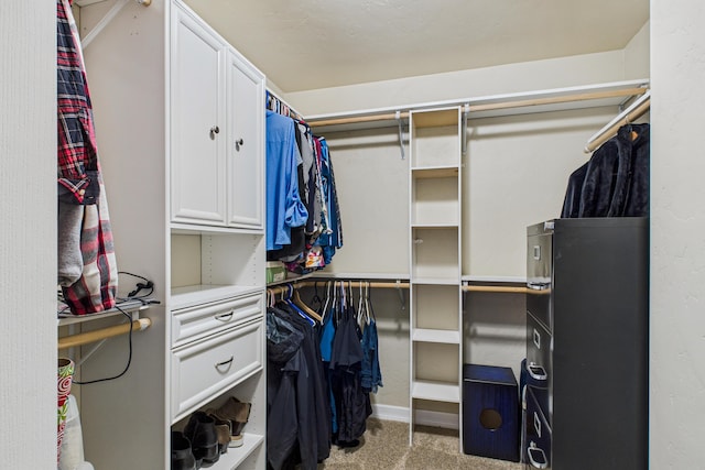spacious closet featuring carpet flooring