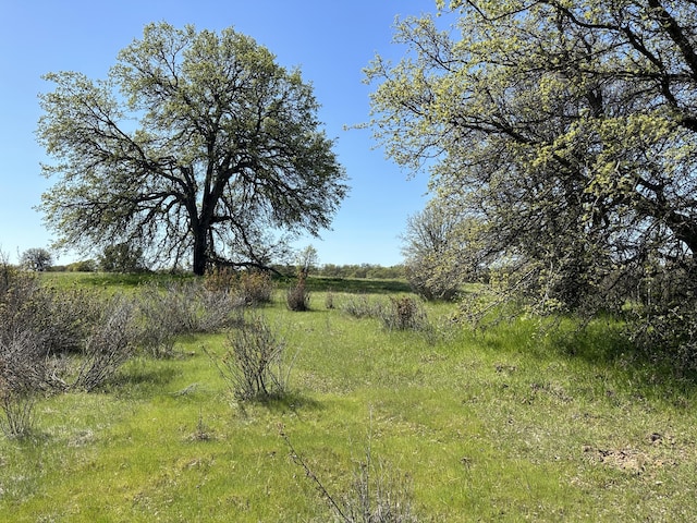 LOT1 Sunset Hills Dr, Cottonwood, CA 96022 - photo 6