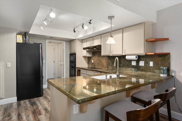 1968 Bechelli Ln, Redding, CA 96002 - kitchen featuring freestanding refrigerator, a sink, a peninsula, rail lighting, and decorative backsplash