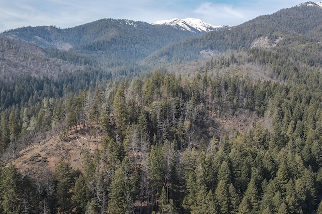mountain view featuring a view of trees