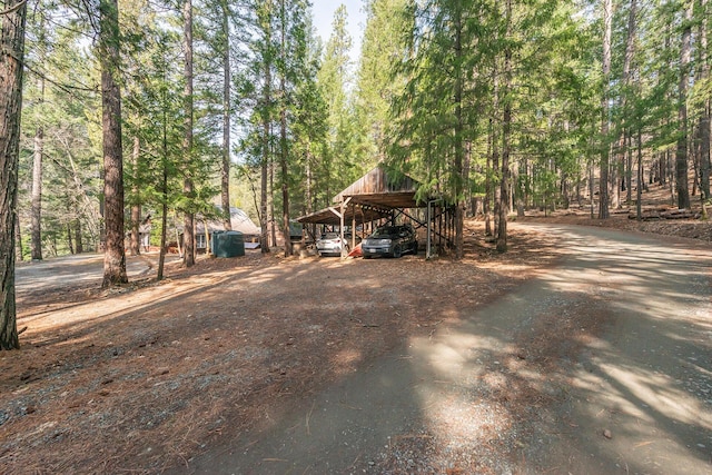 exterior space featuring dirt driveway and a view of trees