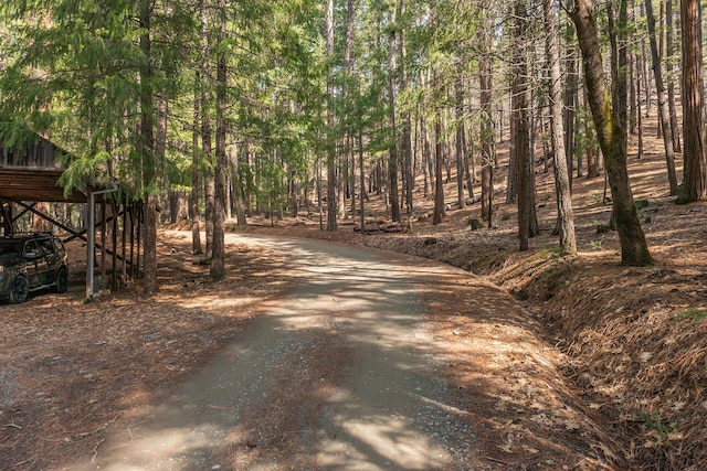 view of road with a forest view