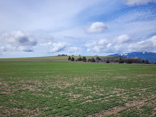 view of yard with a mountain view and a rural view