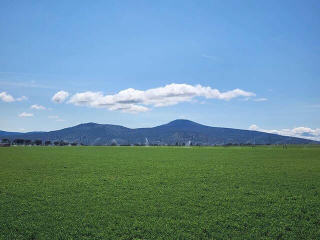 2935 Sheep Mountain Rd, Macdoel, CA 96058 - view of mountain background
