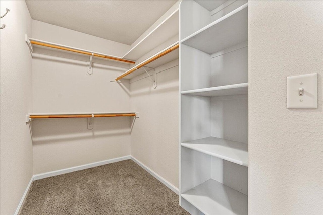 walk in closet with carpet floors