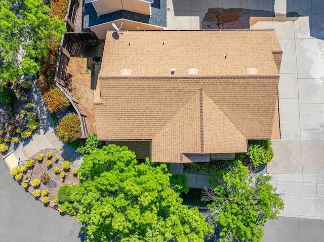 bird's eye view