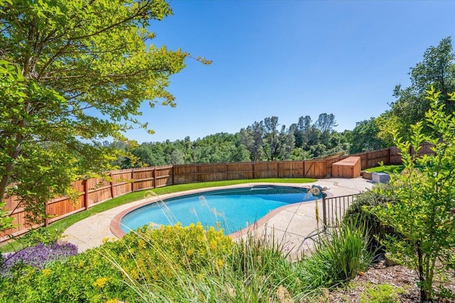 view of pool featuring a fenced in pool and a fenced backyard