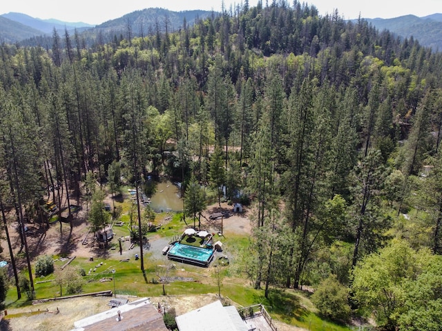880 Union Hill Rd, Douglas City, CA 96024 - photo 5