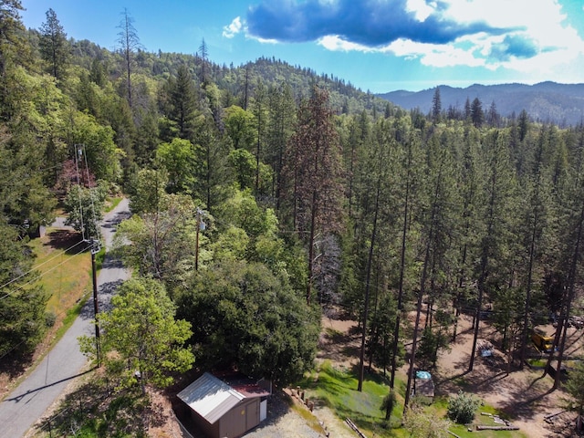 880 Union Hill Rd, Douglas City, CA 96024 - photo 8