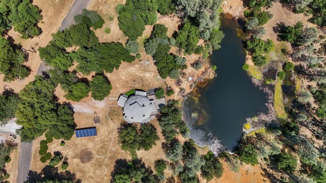 13309 Fernie Way, Redding, CA 96003 - photo 55