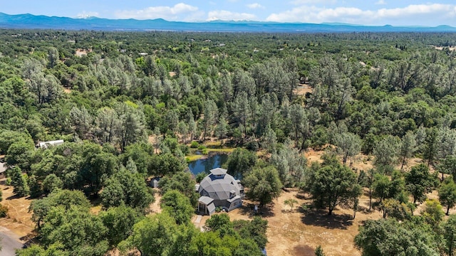 13309 Fernie Way, Redding, CA 96003 - photo 2