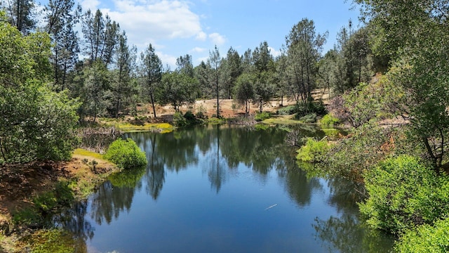 13309 Fernie Way, Redding, CA 96003 - photo 3