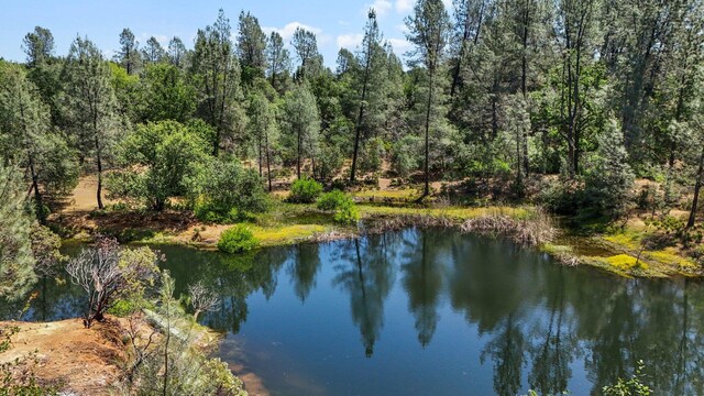 13309 Fernie Way, Redding, CA 96003 - photo 49