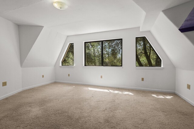 13309 Fernie Way, Redding, CA 96003 - photo 22