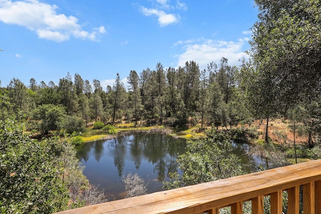 13309 Fernie Way, Redding, CA 96003 - photo 48