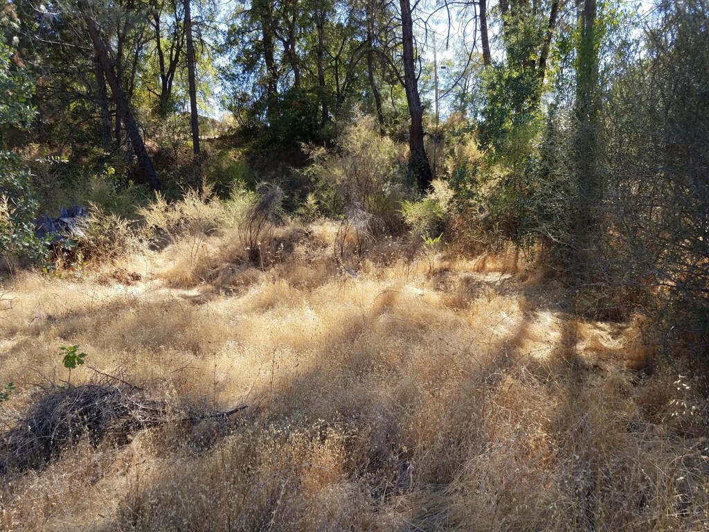 XX Shasta Dam Blvd, Shasta Lake, CA 96019