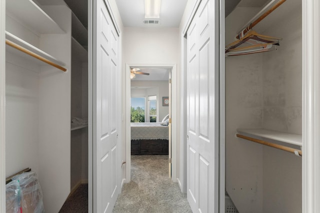 spacious closet featuring a ceiling fan, visible vents, and light carpet