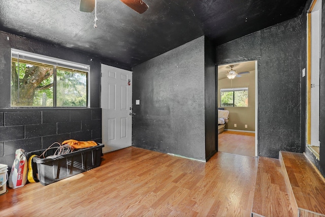 foyer with ceiling fan and wood finished floors