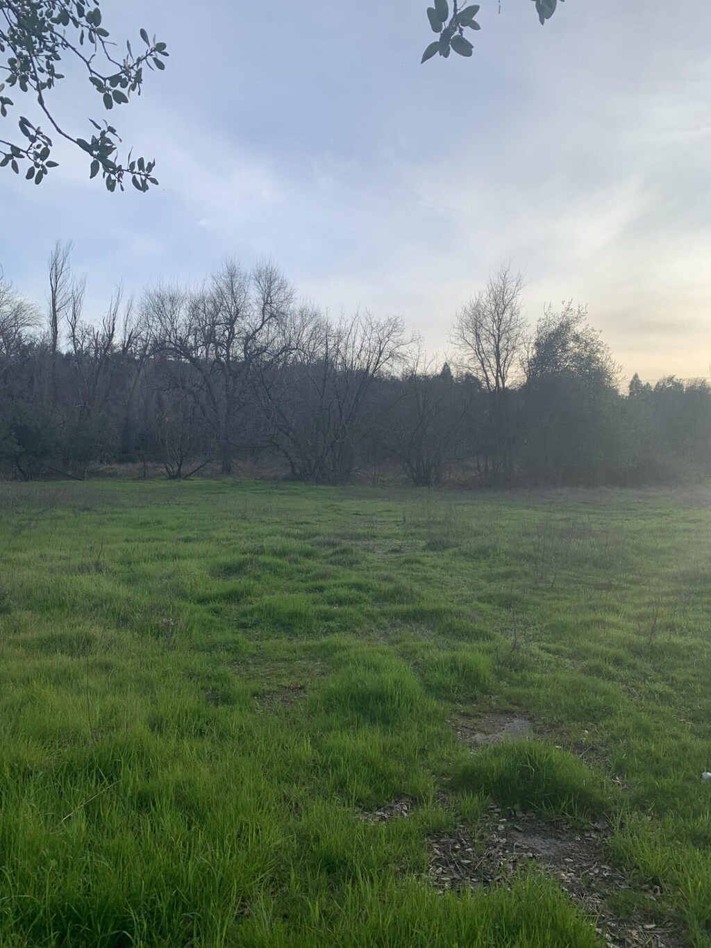 1480 1st St, Anderson, CA 96007