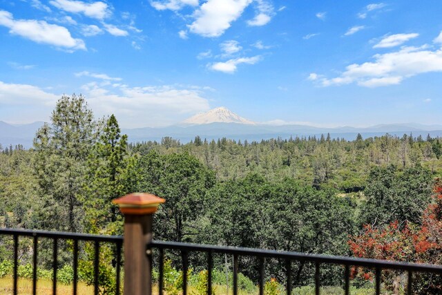 28382 Alpine Way, Shingletown, CA 96088 - photo 34