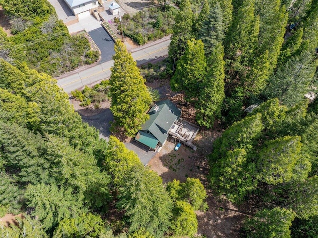217 Villa Rd, Mount Shasta, CA 96067 - photo 2