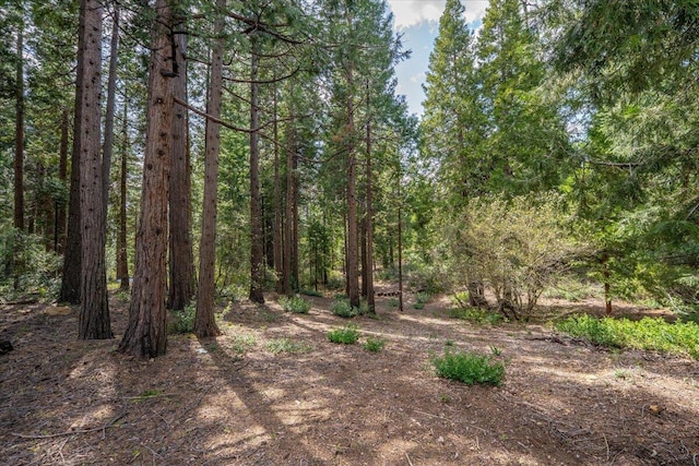 217 Villa Rd, Mount Shasta, CA 96067 - photo 45