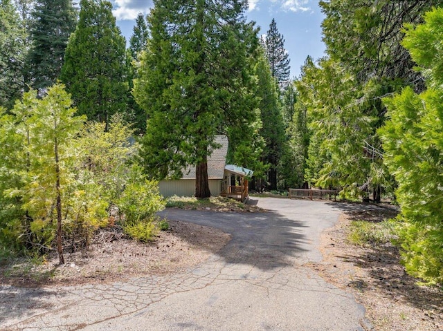 217 Villa Rd, Mount Shasta, CA 96067 - photo 48
