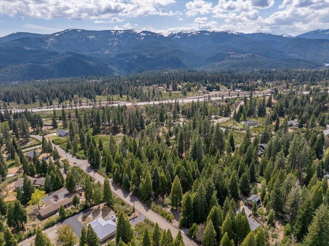 217 Villa Rd, Mount Shasta, CA 96067 - photo 50