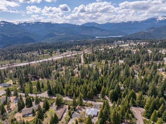 217 Villa Rd, Mount Shasta, CA 96067 - photo 51