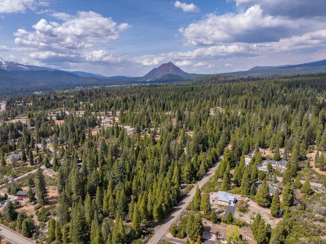 217 Villa Rd, Mount Shasta, CA 96067 - photo 52
