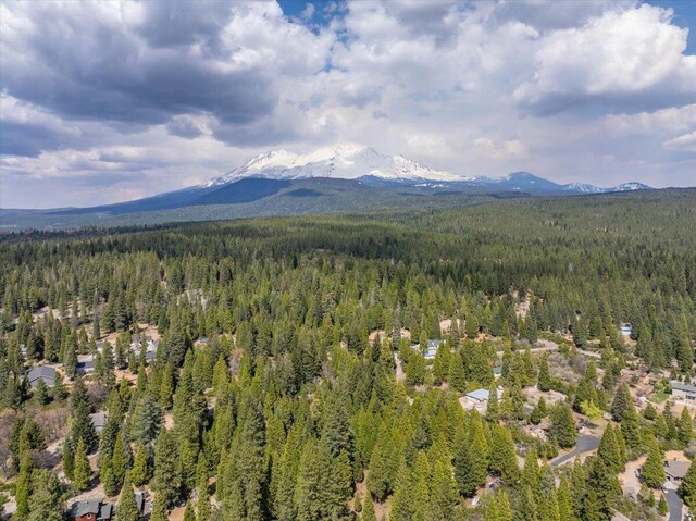217 Villa Rd, Mount Shasta, CA 96067 - photo 53