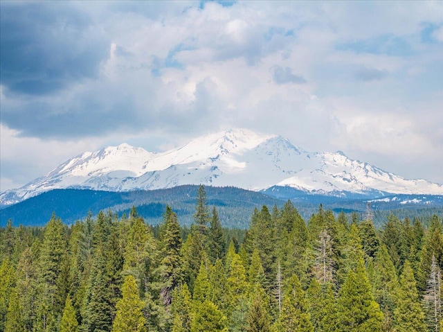 217 Villa Rd, Mount Shasta, CA 96067 - photo 54