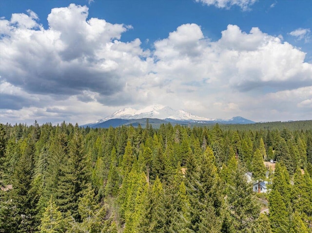217 Villa Rd, Mount Shasta, CA 96067 - photo 55