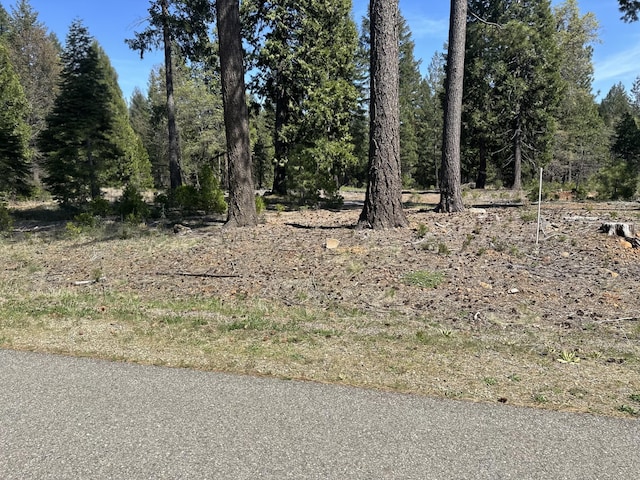 LOT9 Princess Pine Pl, Shingletown, CA 96088