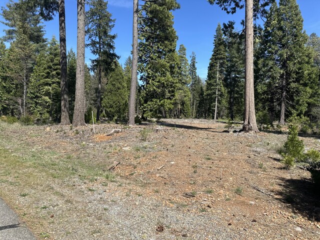 LOT9 Princess Pine Pl, Shingletown, CA 96088